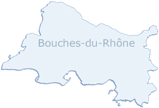 carte grise en ligne dans les Bouches-du-Rhône