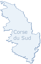carte grise en ligne en Corse du Sud