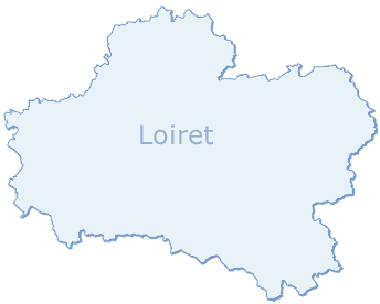 carte grise en ligne dans le Loiret