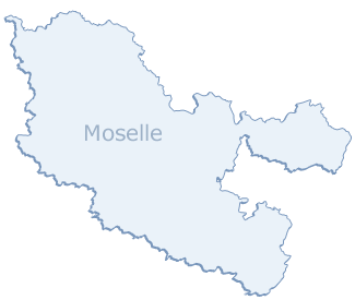 carte grise en ligne en Moselle