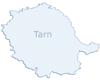carte grise en ligne dans le Tarn