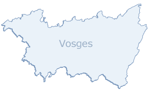 carte grise dans les Vosges carte grise en ligne dans les Vosges