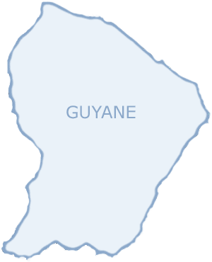 carte grise en Guyane carte grise en ligne en Guyane