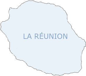 carte grise à La Réunion carte grise en ligne à La Réunion